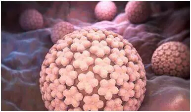 什么是HPV